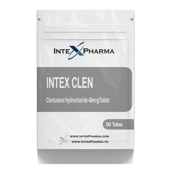 INTEX CLEN